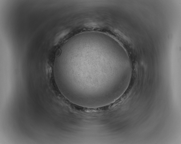 X0000114431302200910161327