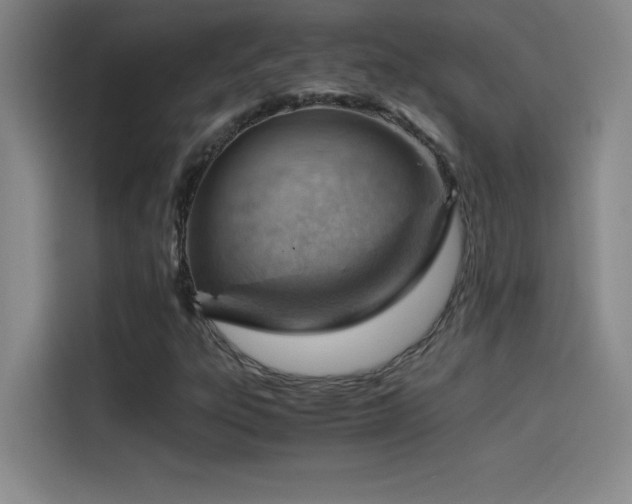 X0000114431303200910161327