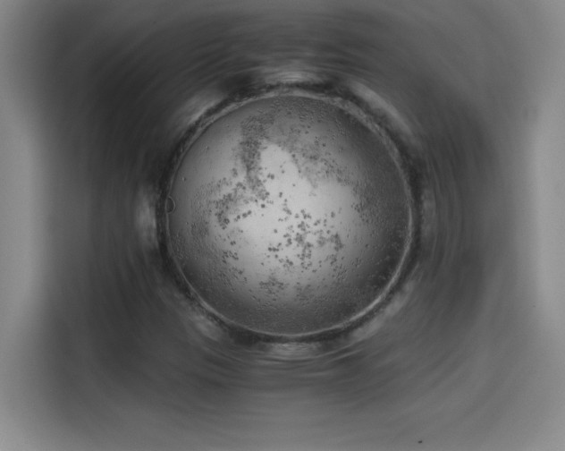 X0000114431305200910161327