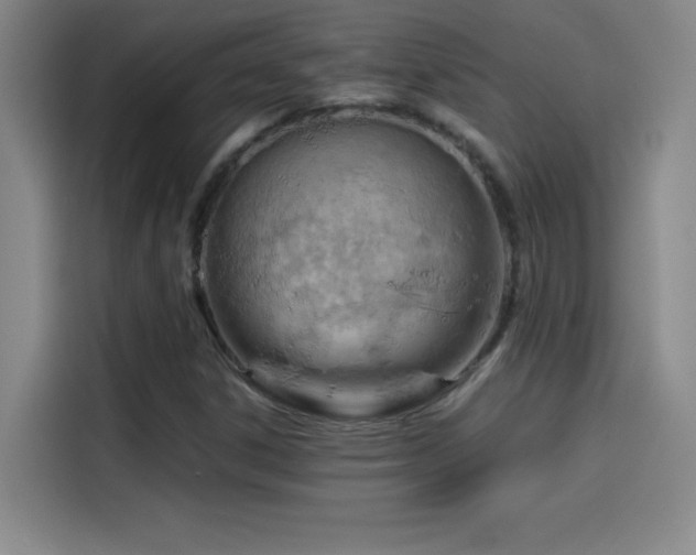 X0000114431306200910161327