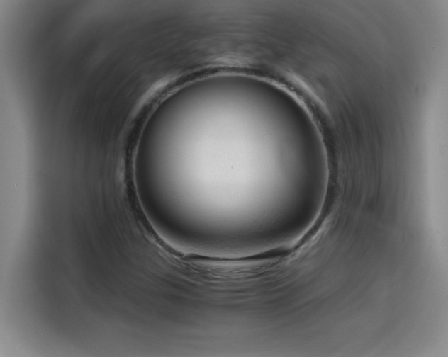 X0000114431307200910161327
