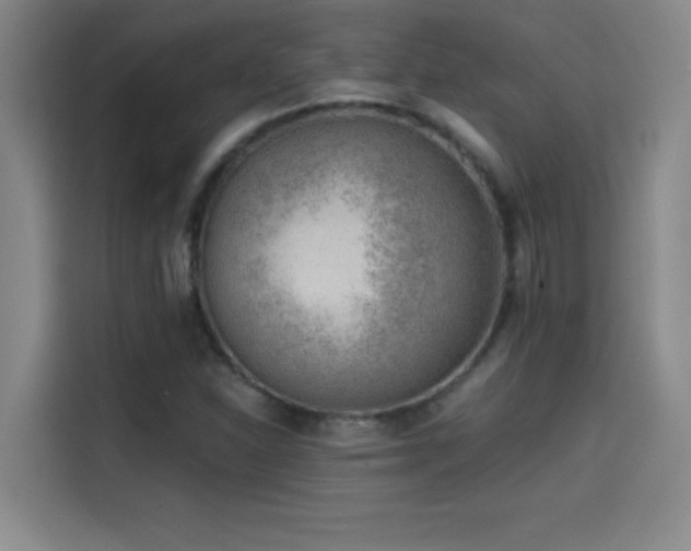 X0000114431310200910161327