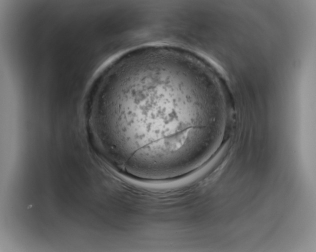 X0000114431311200910161327