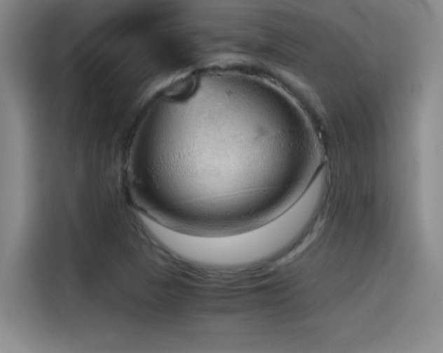 X0000114431313200910161327