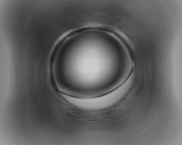 X0000114431315200910161327