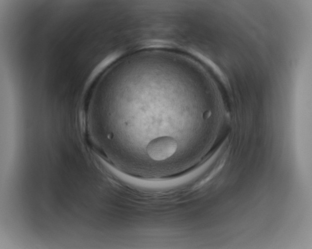 X0000114431317200910161327