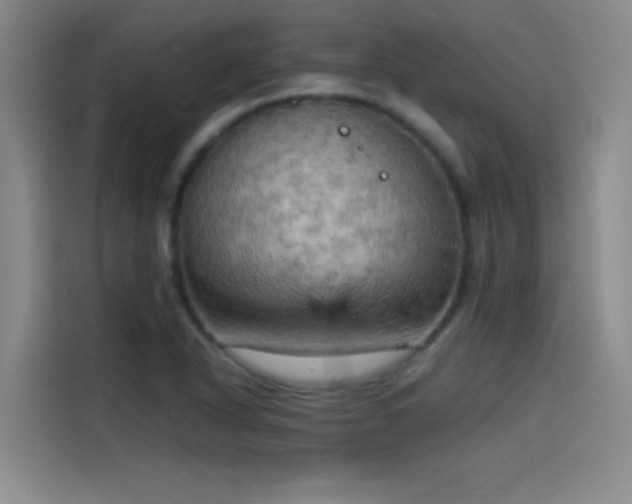 X0000114431318200910161327