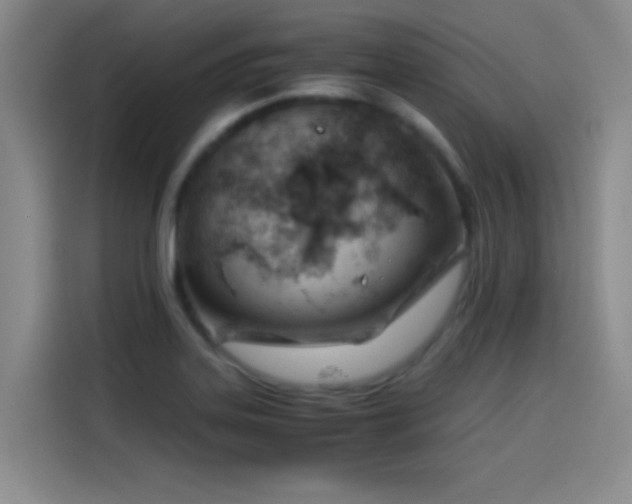 X0000114431323200910161327