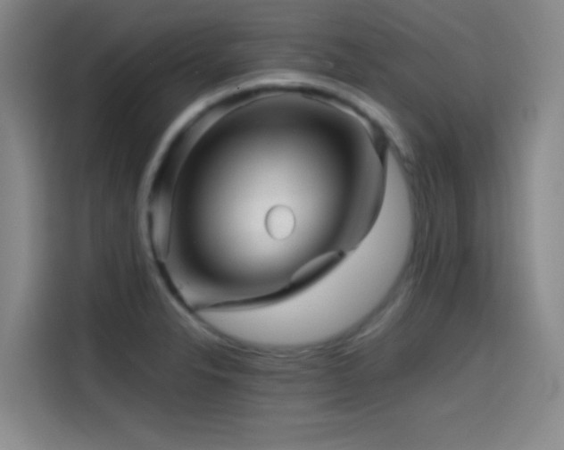X0000114431326200910161327