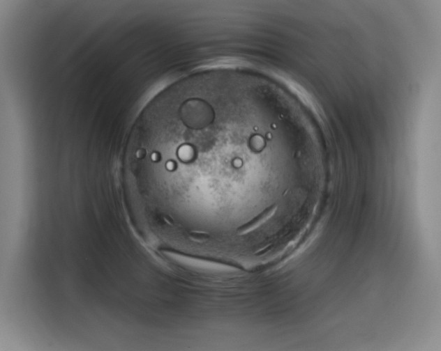 X0000114431329200910161327