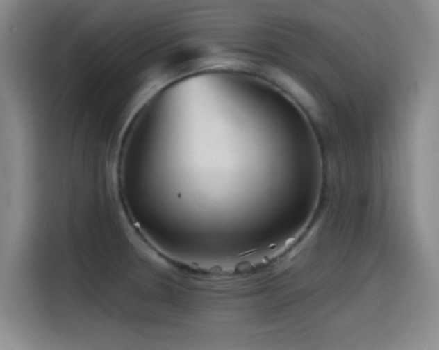 X0000114431330200910161327