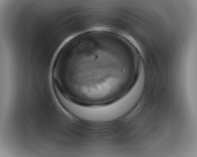 X0000114431331200910161327
