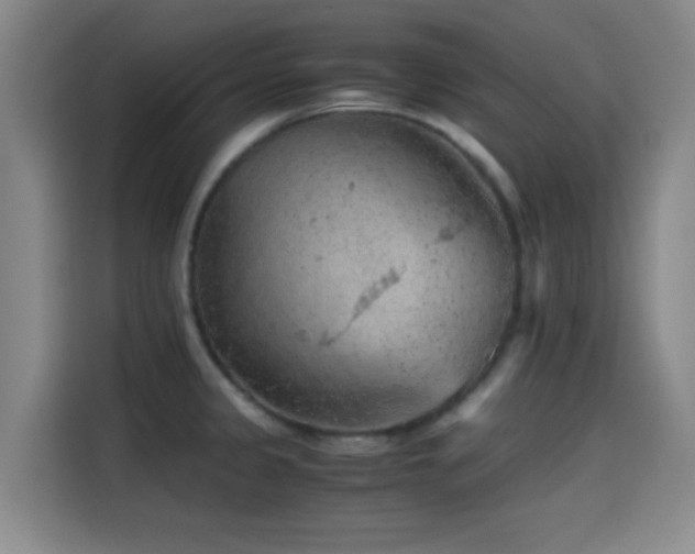 X0000114431333200910161327