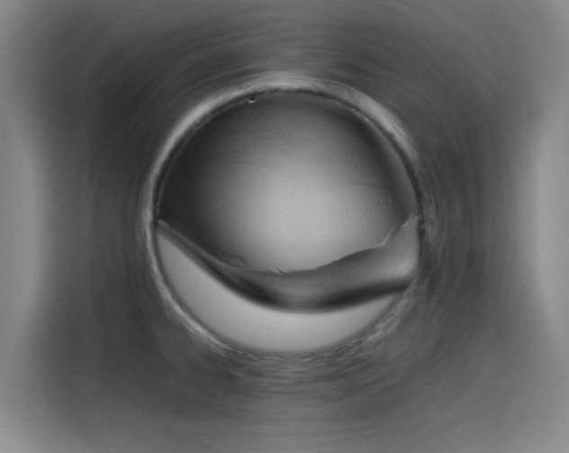 X0000114431334200910161327