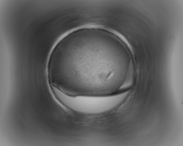 X0000114431335200910161327