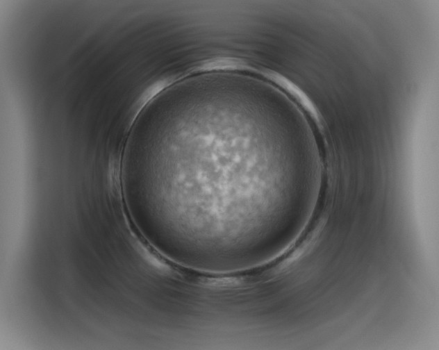 X0000114431337200910161327