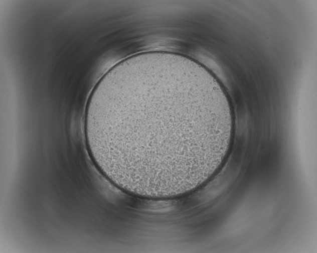X0000114431338200910161327