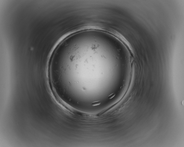X0000114431339200910161327