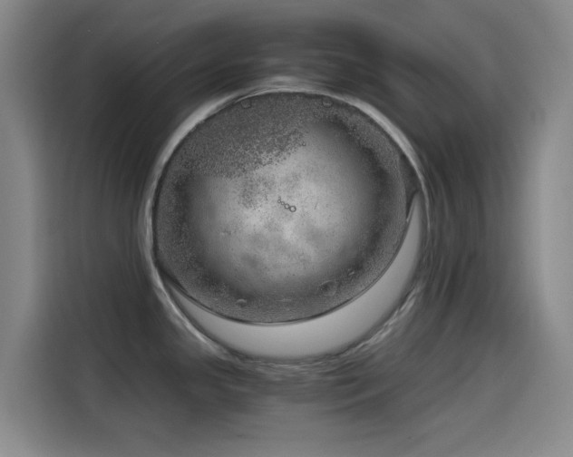 X0000114431341200910161327