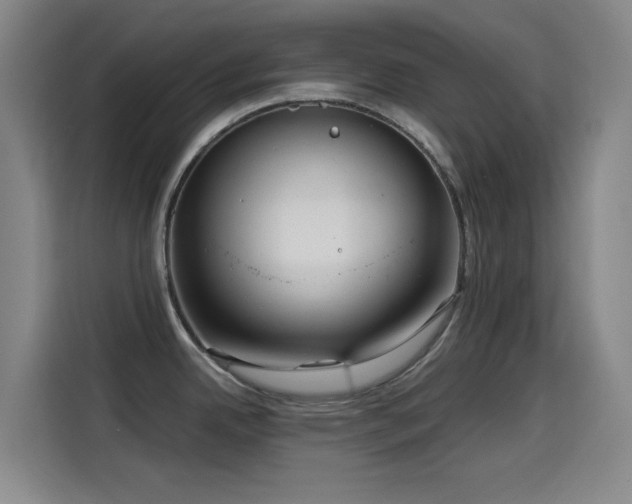 X0000114431342200910161327