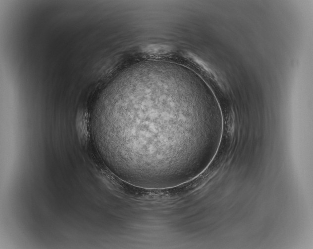 X0000114431346200910161327