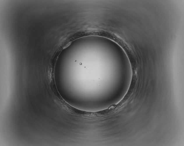 X0000114431348200910161327