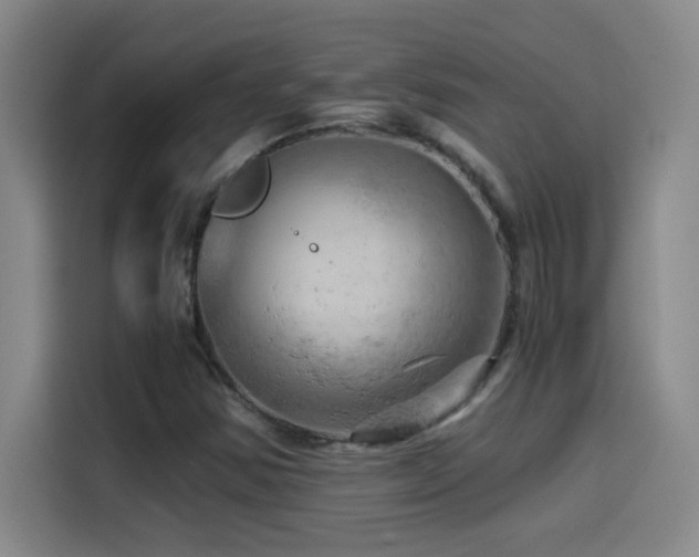 X0000114431354200910161327