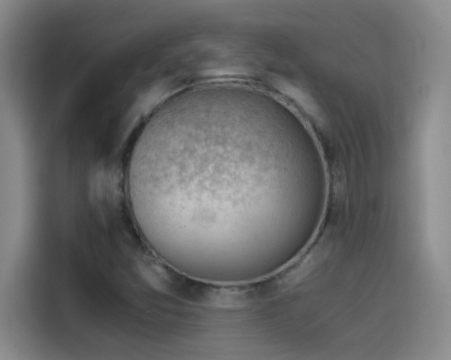 X0000114431357200910161327