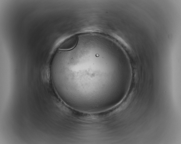 X0000114431358200910161327