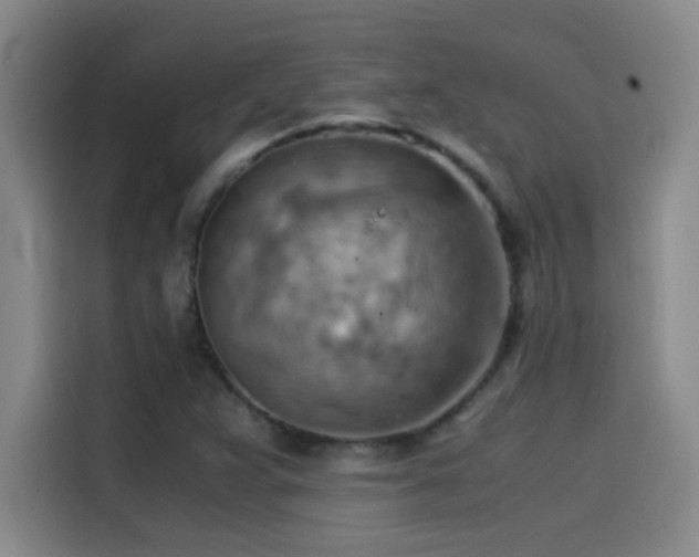 X0000114431359200910161326