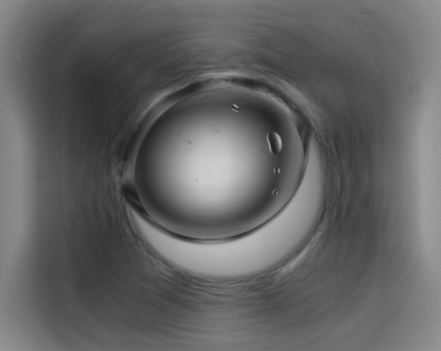 X0000114431361200910161326