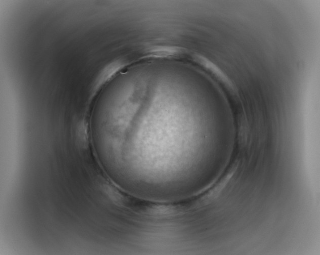 X0000114431362200910161326