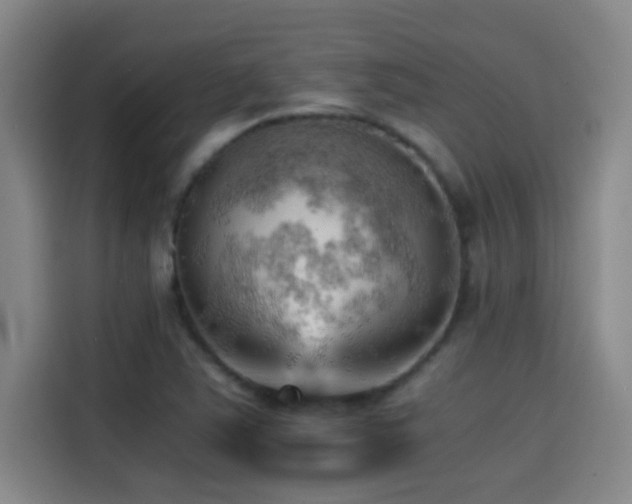 X0000114431363200910161326