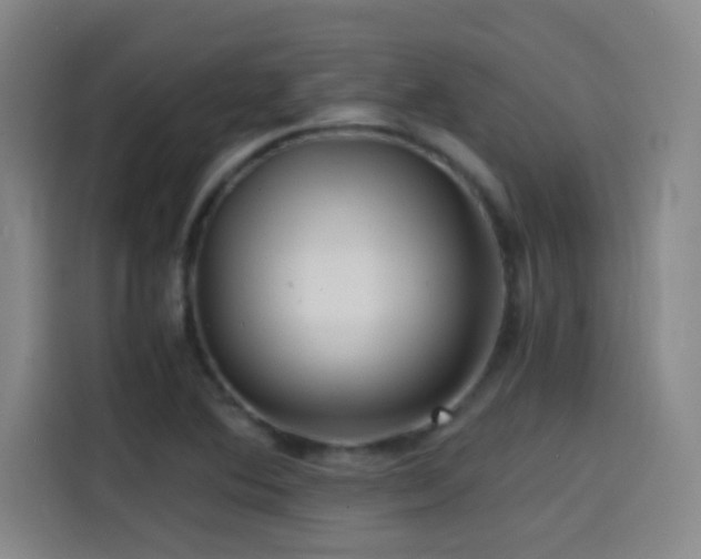 X0000114431364200910161326