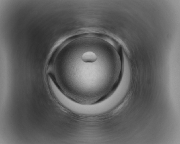 X0000114431365200910161326
