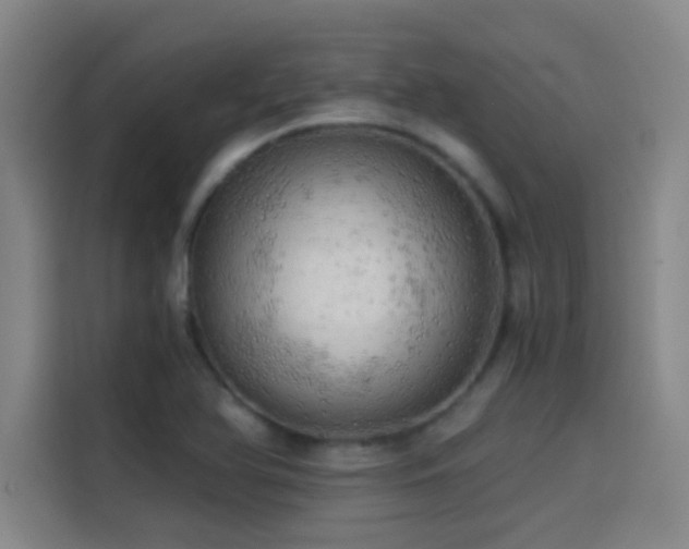 X0000114431366200910161326