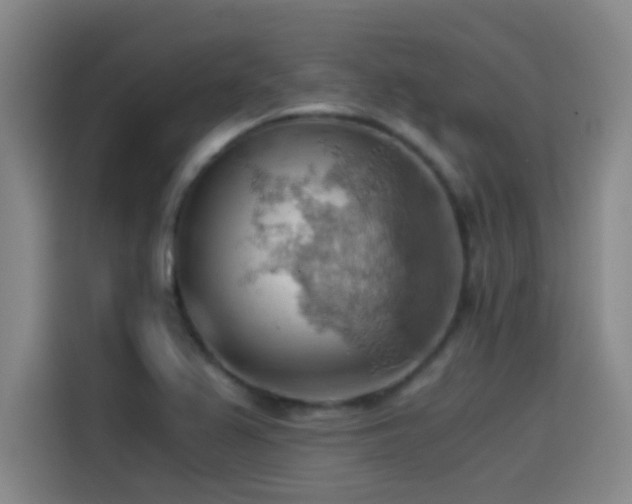 X0000114431367200910161326