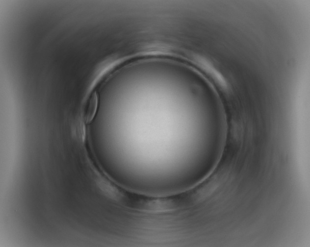 X0000114431368200910161326