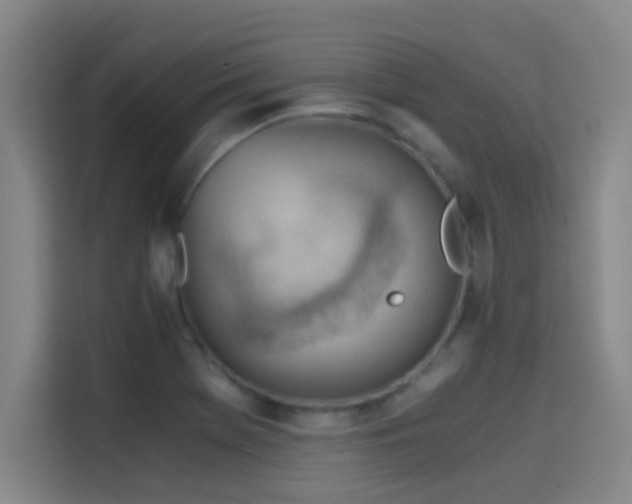 X0000114431369200910161326