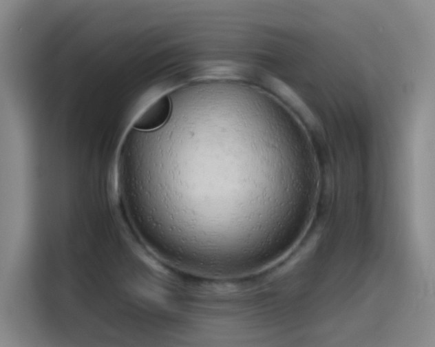 X0000114431370200910161326