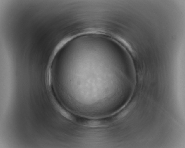 X0000114431371200910161326