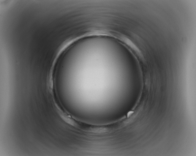 X0000114431372200910161326