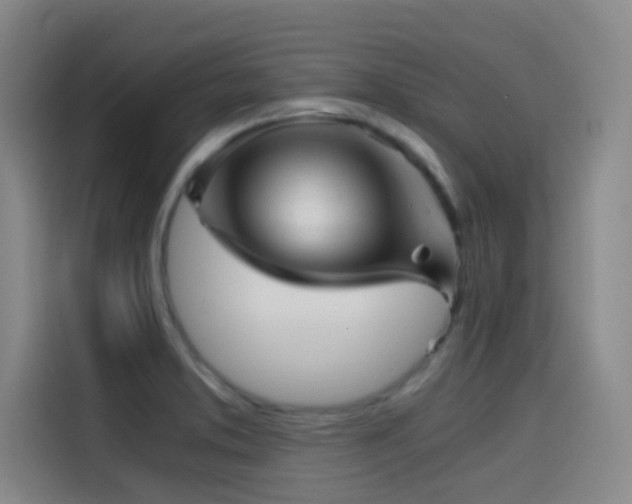 X0000114431373200910161326
