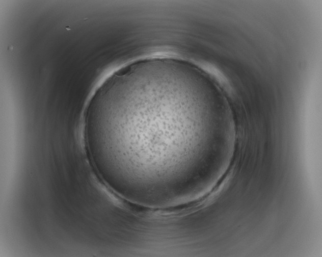 X0000114431374200910161326