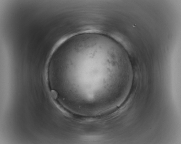 X0000114431375200910161326