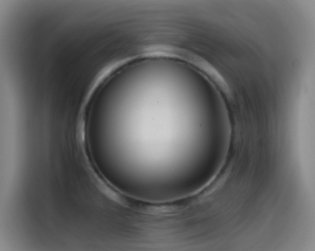 X0000114431376200910161326
