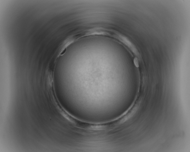 X0000114431377200910161326