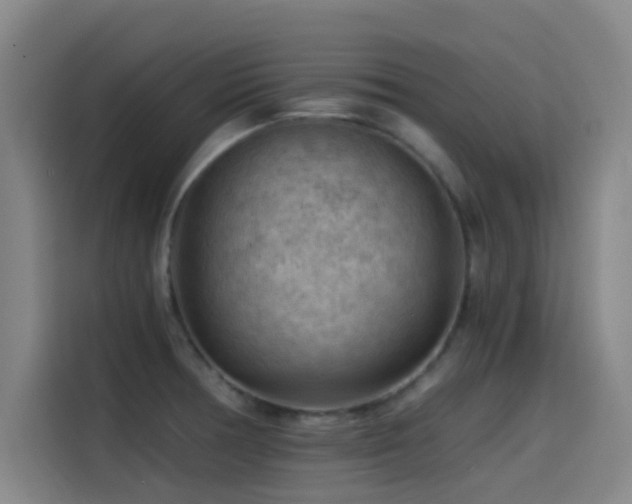X0000114431378200910161326