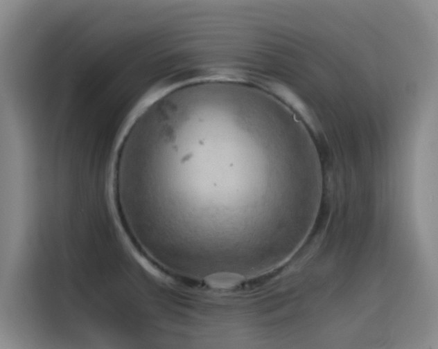 X0000114431379200910161326