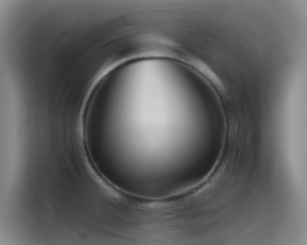 X0000114431380200910161326